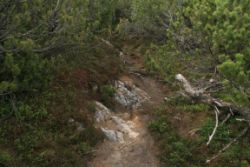 2011-04-24_Regina-F-Rau_Brunnstein-Spitze (092).JPG